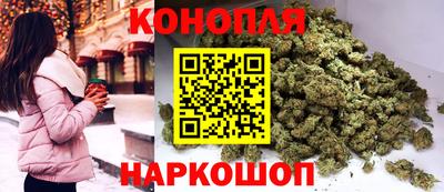 Альфа ПВП Аргун