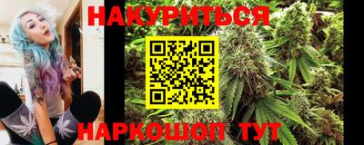Альфа ПВП Аргун