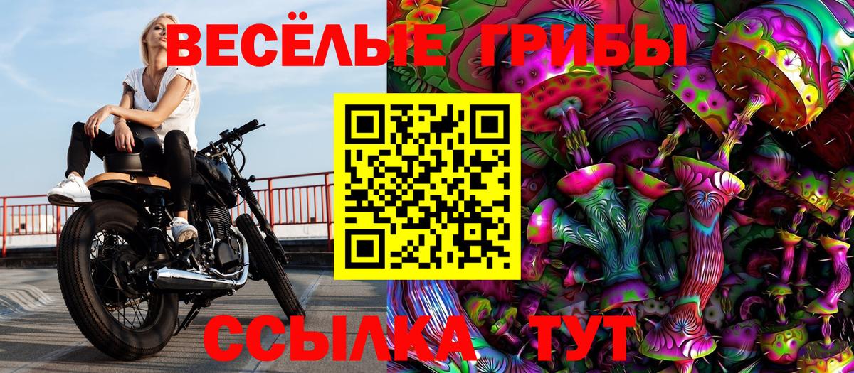 Галлюциногенные грибы Cubensis  Вход с VPN  Аргун 