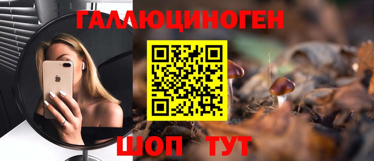 Галлюциногенные грибы GOLDEN TEACHER Аргун