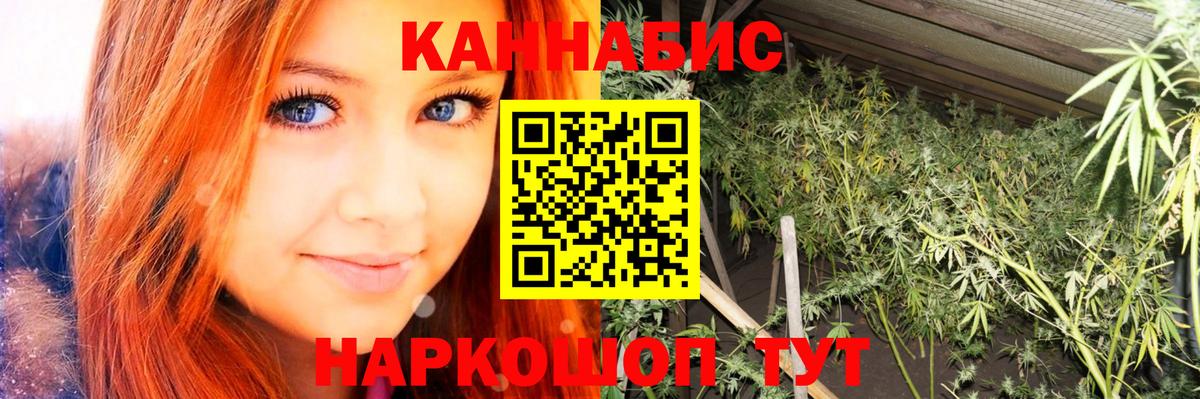 Марихуана план  Вход с VPN  Каннабис THC 21%  Марихуана планчик  Аргун 